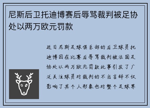 尼斯后卫托迪博赛后辱骂裁判被足协处以两万欧元罚款